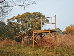 -长田漾湿地公园