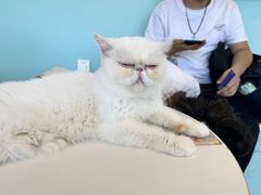 -怪兽屋·羊驼·猫咖·狗咖(俊华广场店)