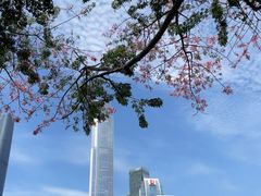 -海心沙亚运公园