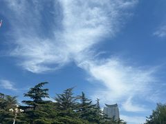 -THE WOODS 简餐 (国贸商城店)