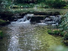 -中国茶叶博物馆(双峰馆区)