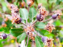 -永定河休闲森林公园