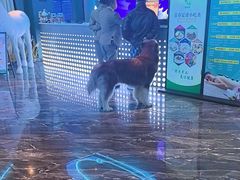 -青春足迹·概念店·小憩足疗SPA