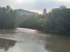 -上海吴淞炮台湾国家湿地公园