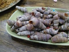 -贞姨美食·老字号海鲜大排档