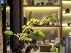 -朵云书院·广富林店