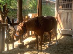 -驿舍·民國老营房院子私房菜(科学会堂店)