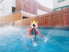 -嘉佑温泉水世界