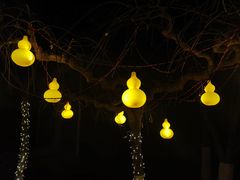 -金城公园