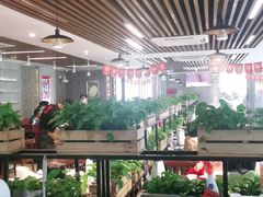 大堂-八合里潮汕鲜牛肉火锅(深圳海岸城店)