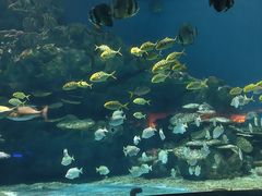 -海合安武汉极地海洋公园