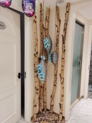 -健身堂科技美肌SPA