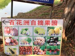 -松山湖梦幻百花洲
