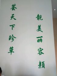 -荟草堂痘肌修护中心