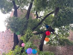 -J Create城市露营咖啡·简餐·宠物(上海动物园店)