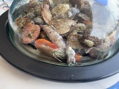 -大锅强·蒸海鲜青岛菜(金沙滩店)