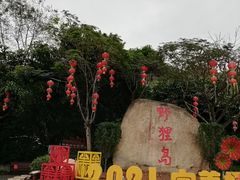 -野狸岛