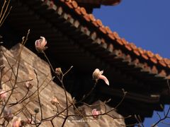 -东华门大街小区