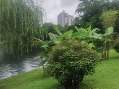 -晓港公园