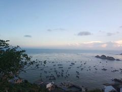 -枸杞岛