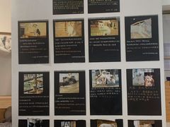 -猫小主咖啡·猫咖cat cafe(福田店)