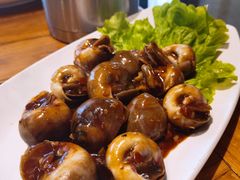 酱烧海螺-77号渔船·蒸海鲜青岛菜(积米崖店)