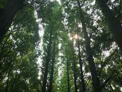 -同里国家湿地公园