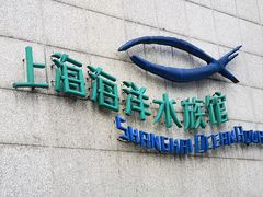 -上海海洋水族馆