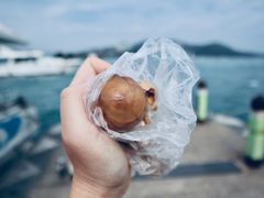 -日月潭