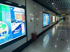 -星湖街(地铁站)