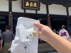 -有栖山 清光院 清水寺