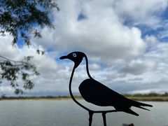 -野鸭湖国家湿地公园