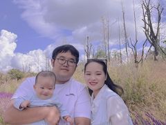 -阳宗海湿地