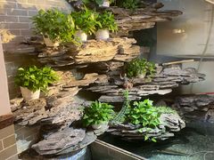 -山水茶艺馆·点心粤菜·30年老字号