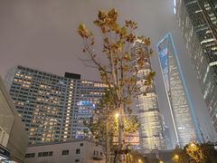 -上海中心大厦