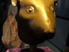 -广西壮族自治区博物馆