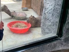 -武汉动物园