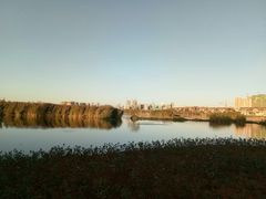 -五甲塘生态湿地公园