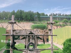 -大连森林动物园