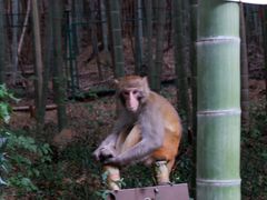 -苏州环秀晓筑养生度假村