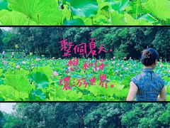 -邓小平故里