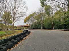 -上海海湾国家森林公园