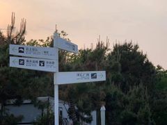 -日照灯塔风景区