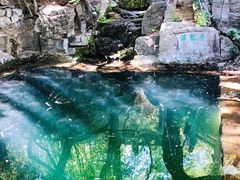 -四门塔风景区