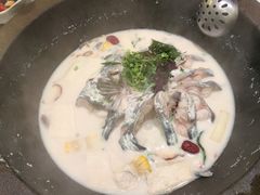 -鲜潭蒸汽石锅鱼(五道口购物中心店)
