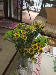 -杉惠素颜美妆皮肤管理中心