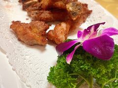 -兴隆槟榔园休闲农庄