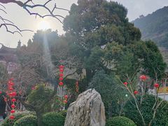 -华清宫景区