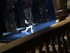 放映厅-马林斯基剧院