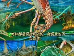 -三亚亚特兰蒂斯度假区